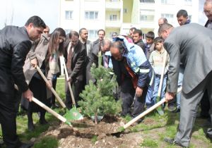 Palandöken de yeşil çevre seferberliği